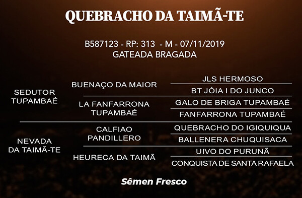 Geração QUEBRACHO DA TAIMÃ-TE