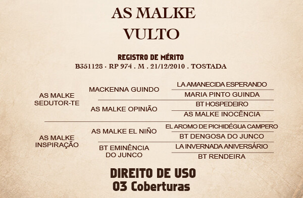 Geração AS MALKE VULTO - Direito de uso