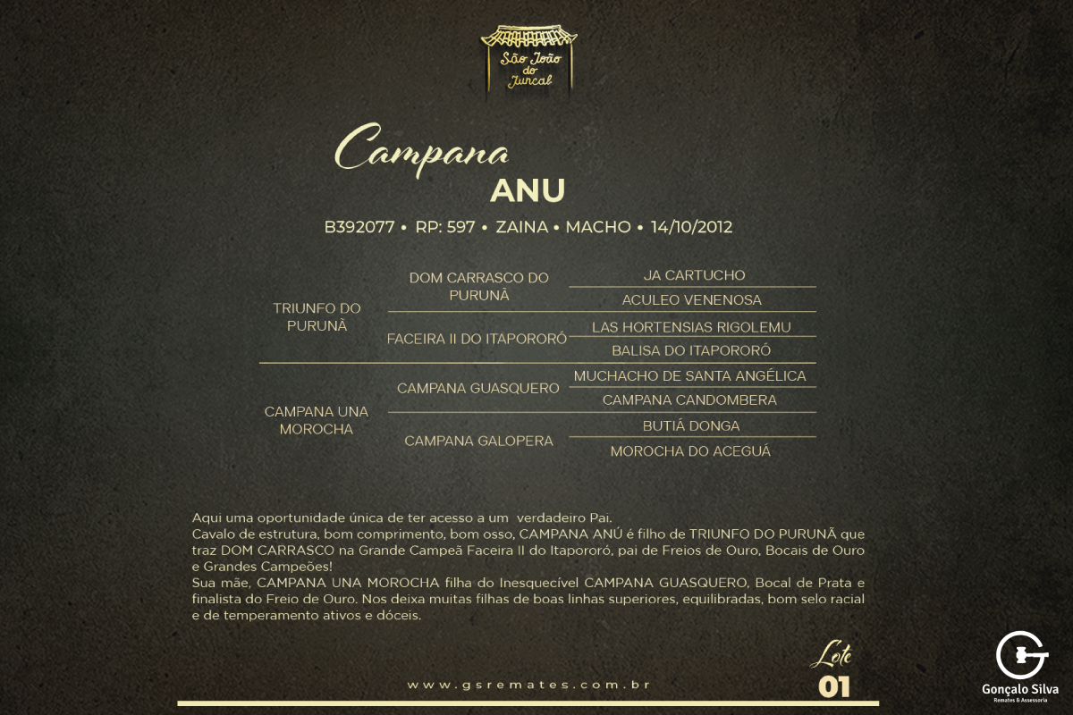 Geração CAMPANA ANU
