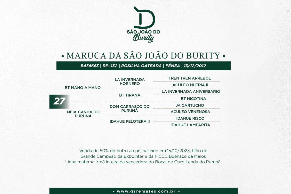 Geração MARUCA DA SÃO JOÃO DO BURITY