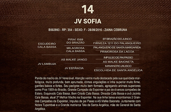 Geração JV SOFIA