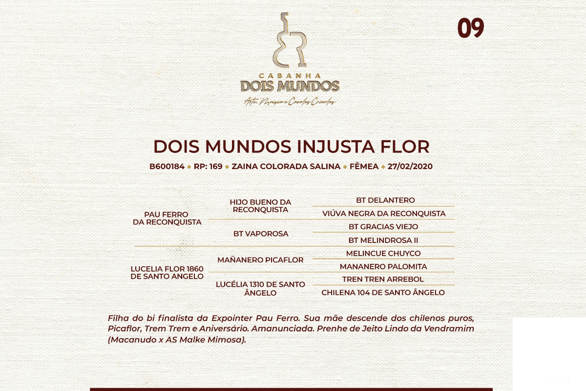 Geração DOIS MUNDOS INJUSTA FLOR