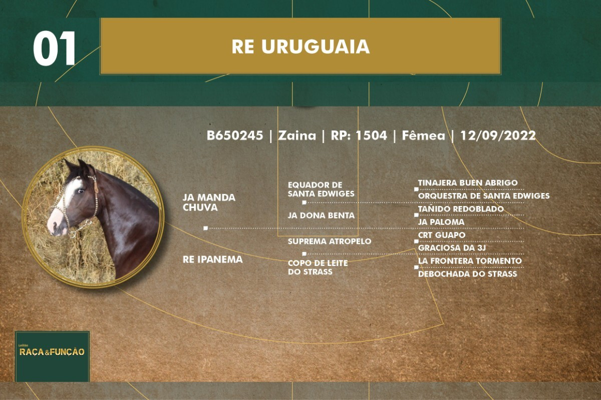 Geração RE URUGUAIA