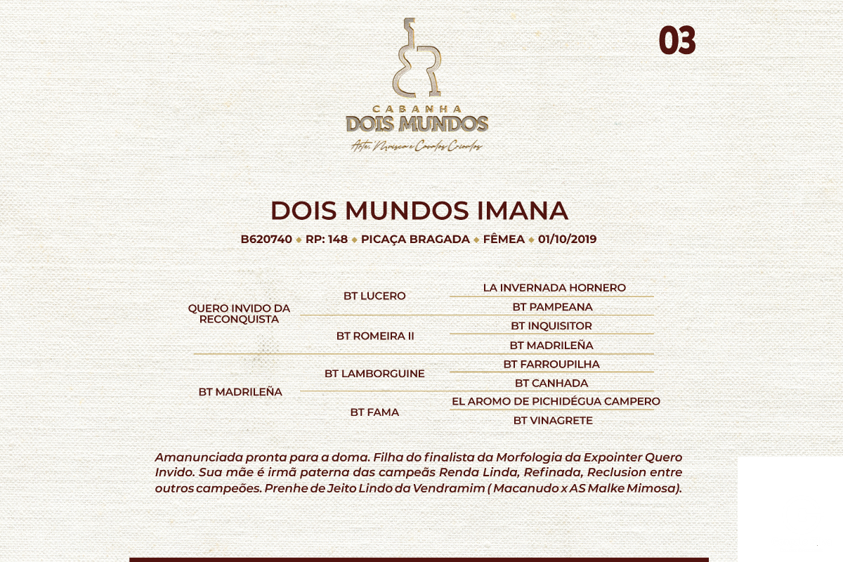 Geração DOIS MUNDOS IMANA