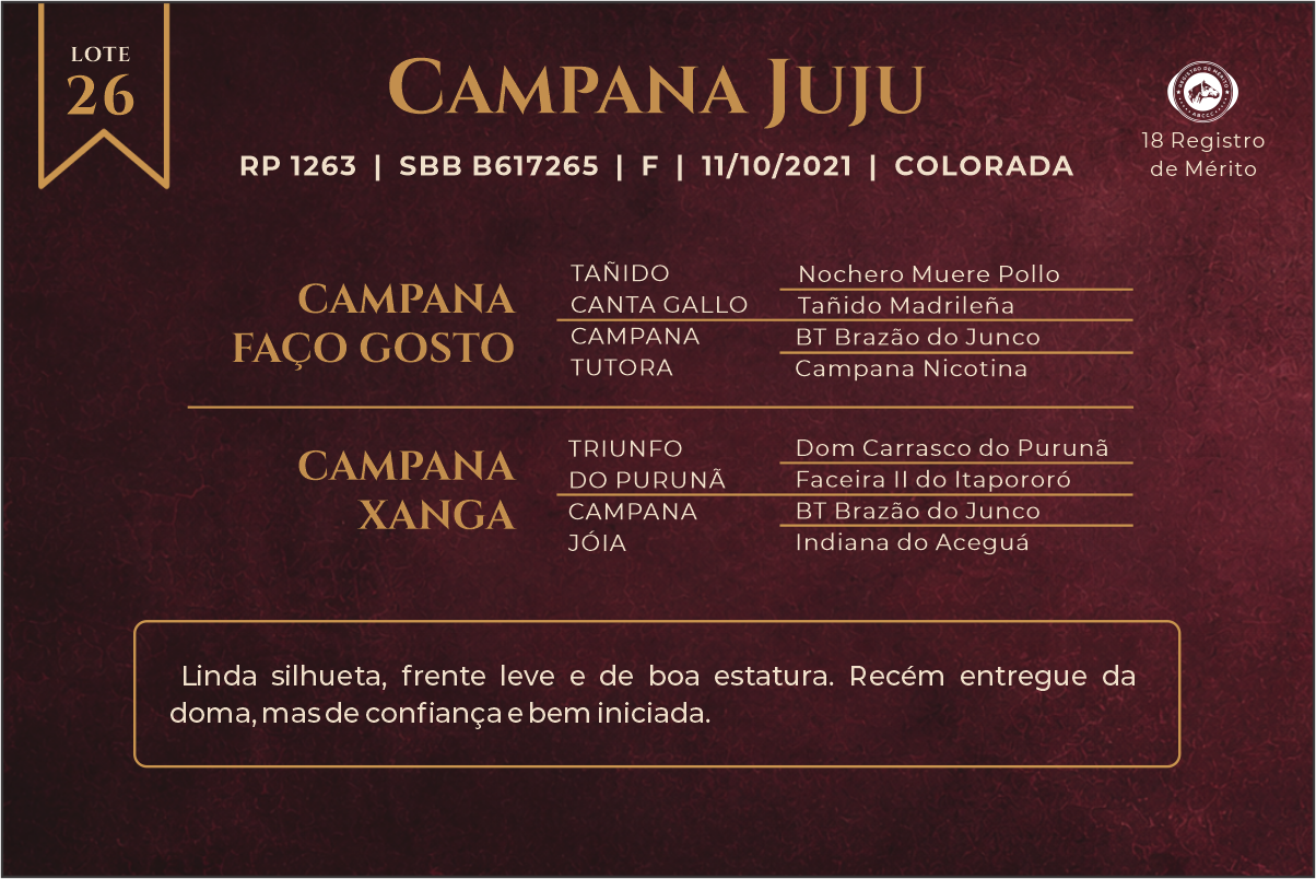 Geração CAMPANA JUJU