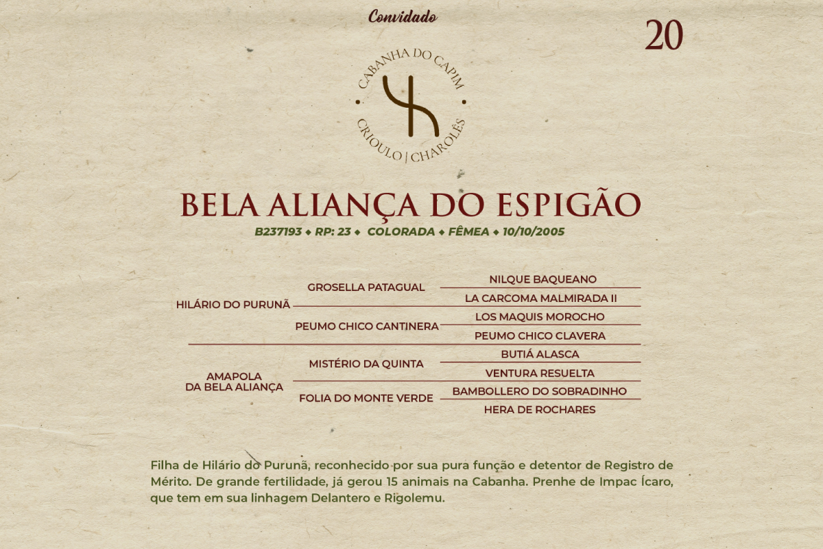 Geração BELA ALIANÇA DO ESPIGÃO