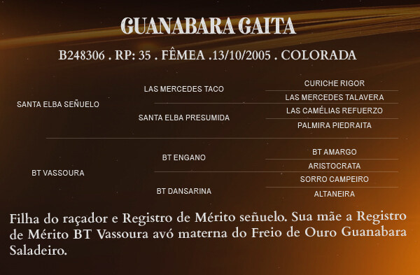 Geração GUANABARA GAITA 