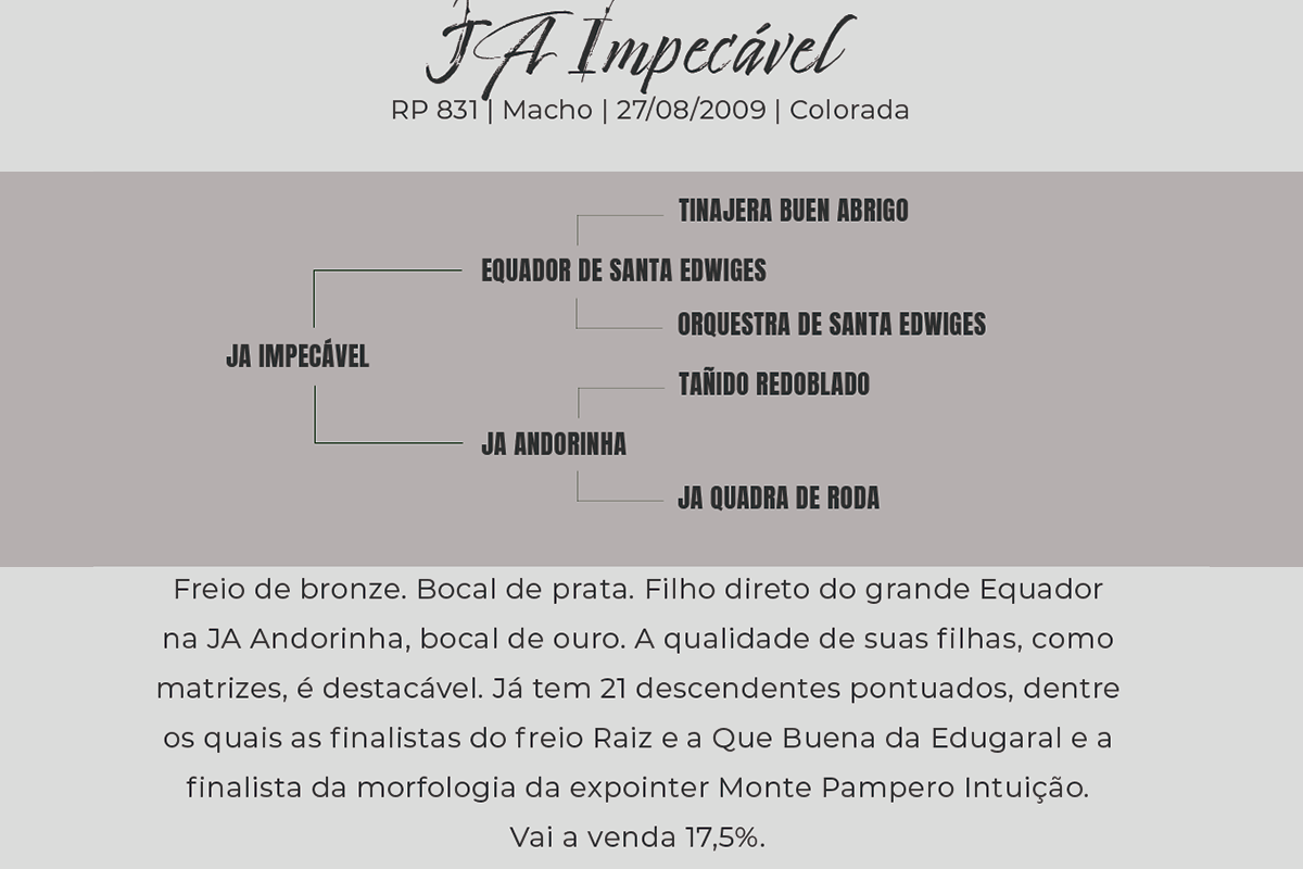 Geração JA IMPECÁVEL - COTA DE 17,5%