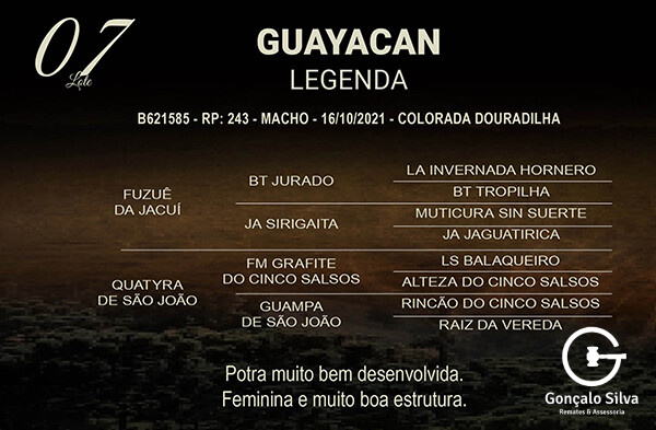 Geração GUAYACAN LEGENDA
