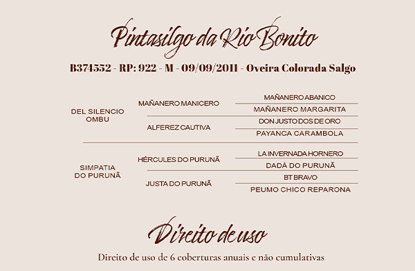 Geração DIREITO DE USO PINTASILGO DA RIO BONITO
