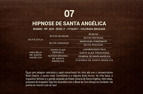 Geração HIPNOSEE DE SANTA ANGÉLICA