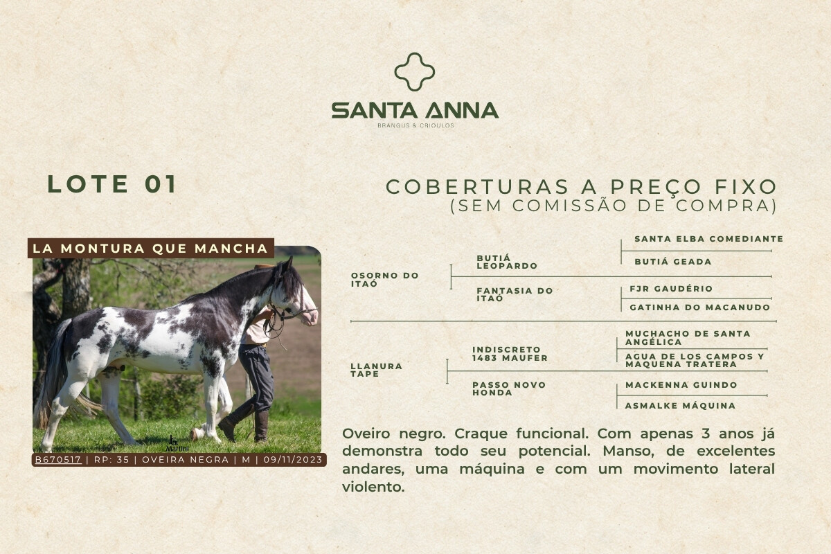 Geração LA MONTURA QUE MANCHA - COBERTURAS 