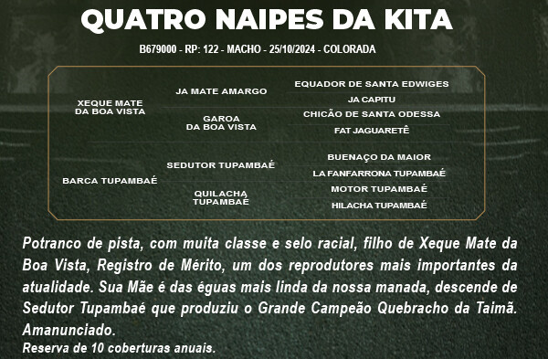 Geração QUATRO NAIPES DA KITA 