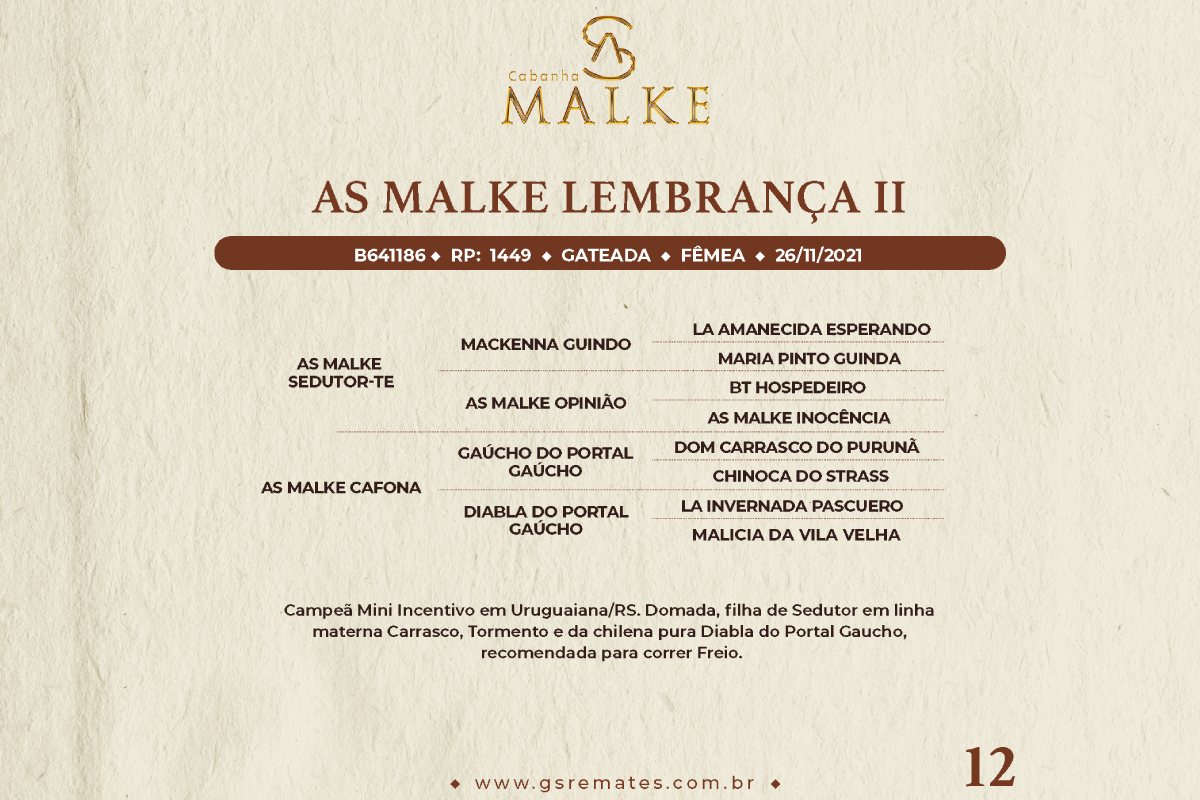 Geração AS MALKE LEMBRANÇA II
