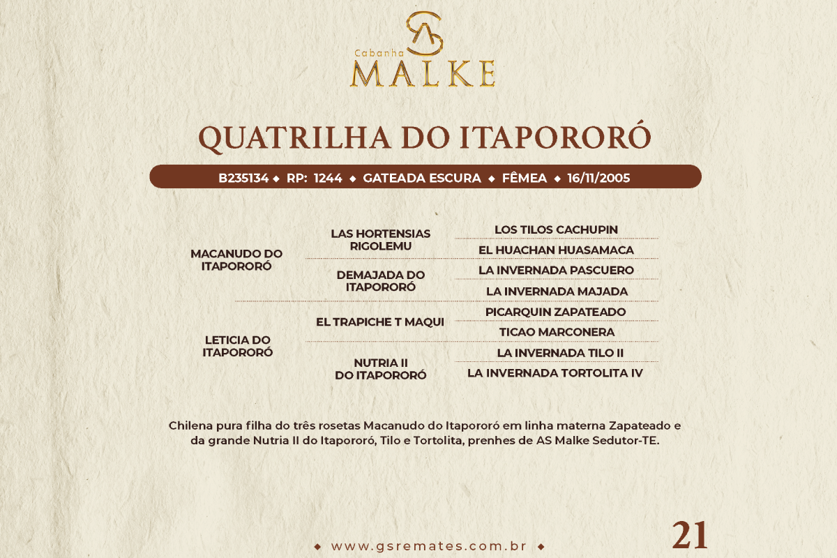 Geração QUATRILHA DO ITAPORORÓ
