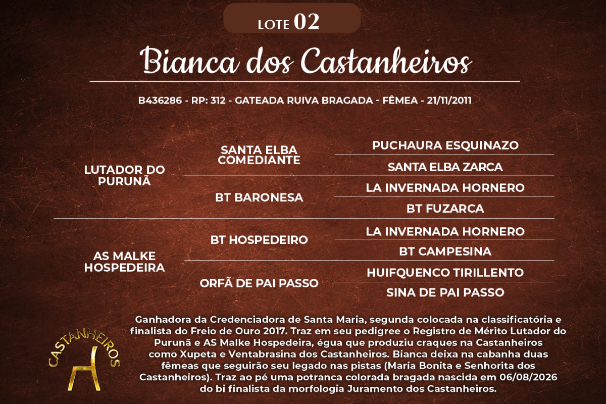 Geração BIANCA DOS CASTANHEIROS