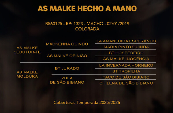 Geração AS MALKE HECHO A MANO