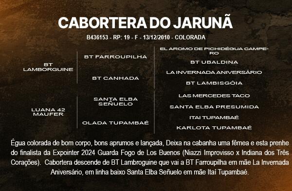 Geração CABORTERA DO JARUNÃ