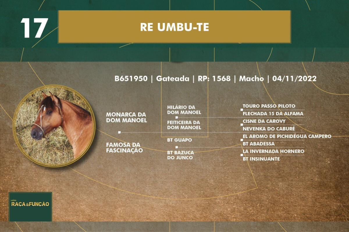 Geração RE UMBU-TE