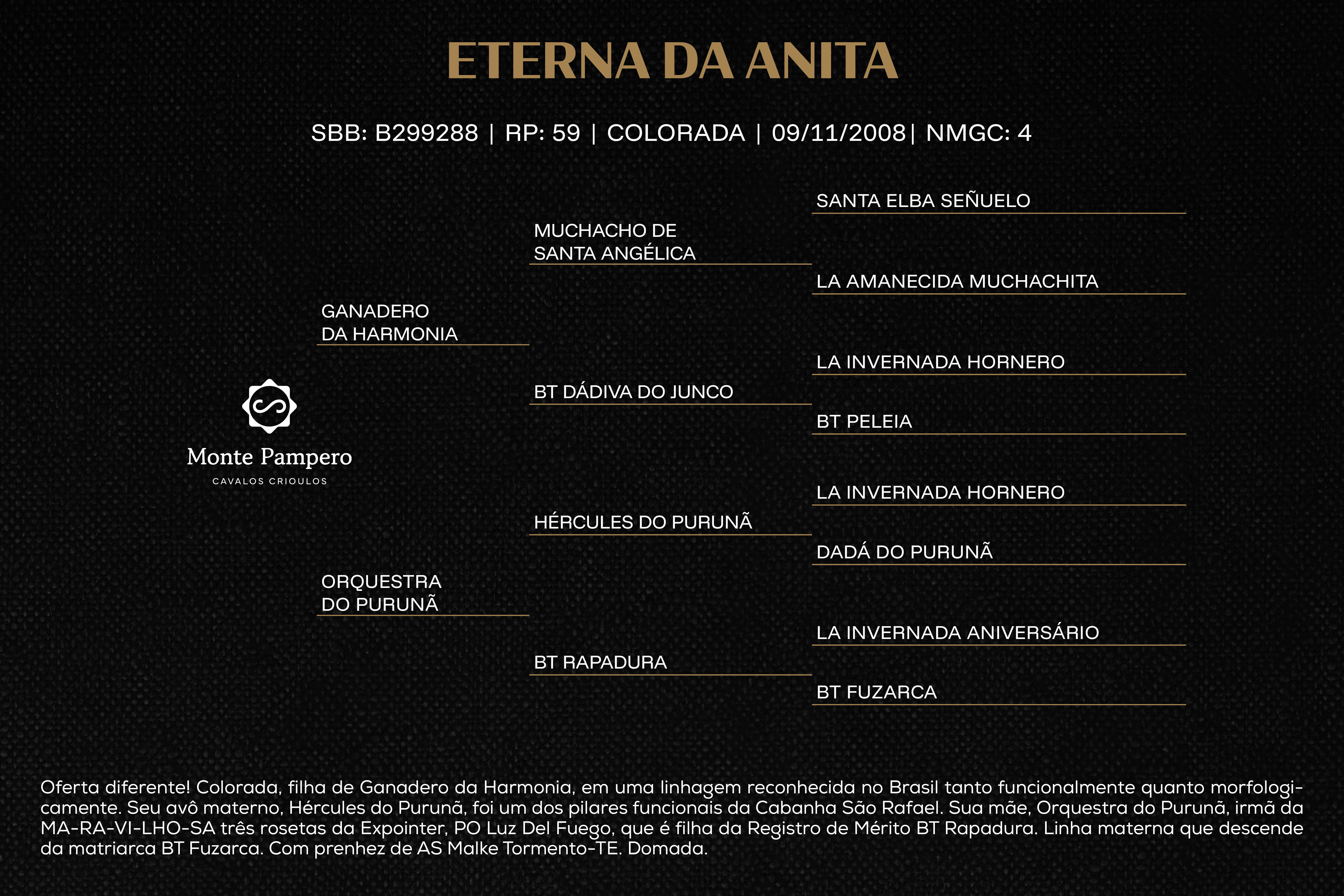 Geração ETERNA DA ANITA