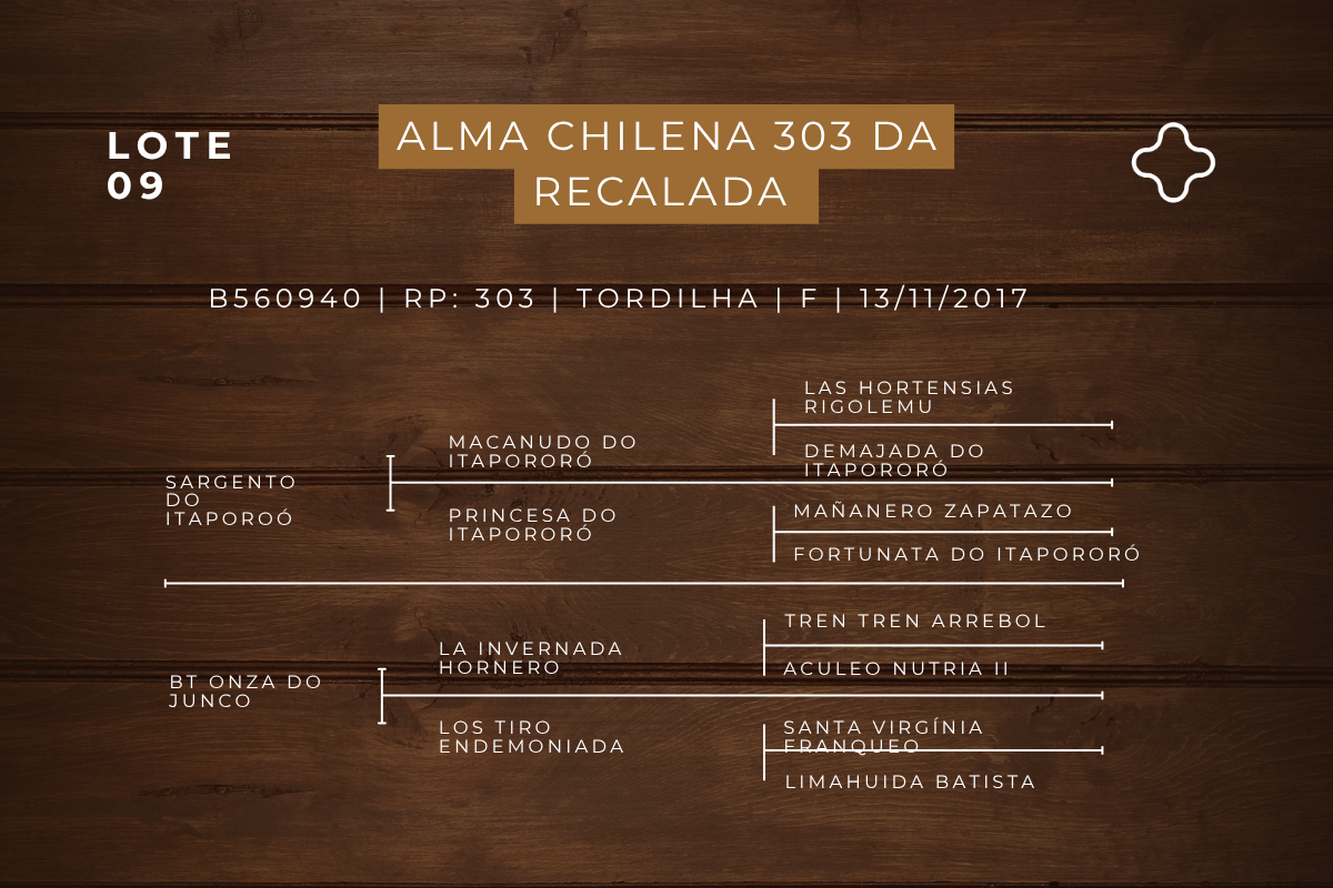 Geração ALMA CHILENA 303 DA RECALADA