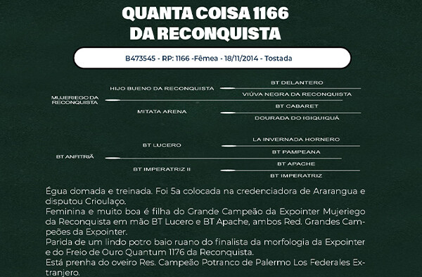 Geração QUANTA COISA 1166 DA RECONQUISTA