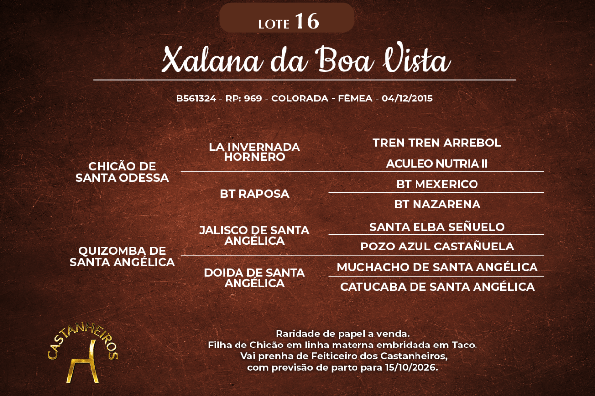 Geração XALANA DA BOA VISTA