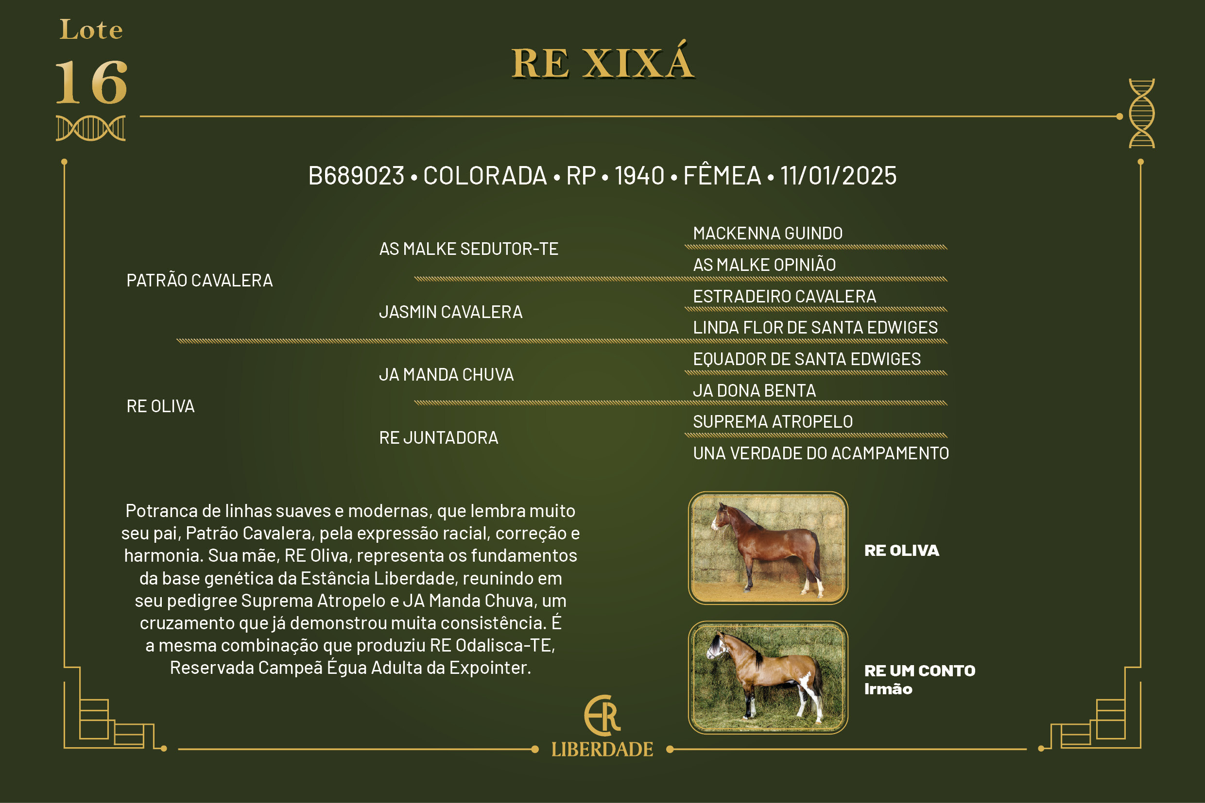 Geração RE XIXÁ 