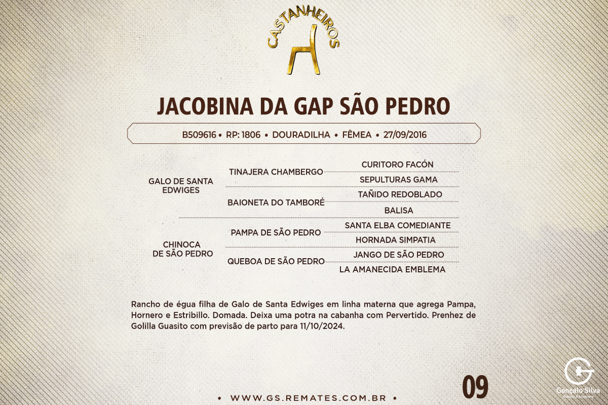 Geração JACOBINA DA GAP SÃO PEDRO
