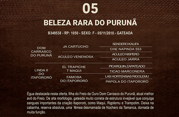 Geração BELEZA RARA DO PURUNÃ