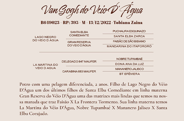 Geração VAN GOGH DO VEIO D'AGUA