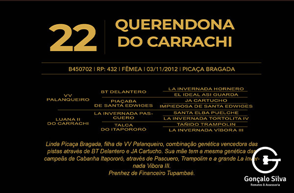 Geração QUERENDONA DO CARRACHI