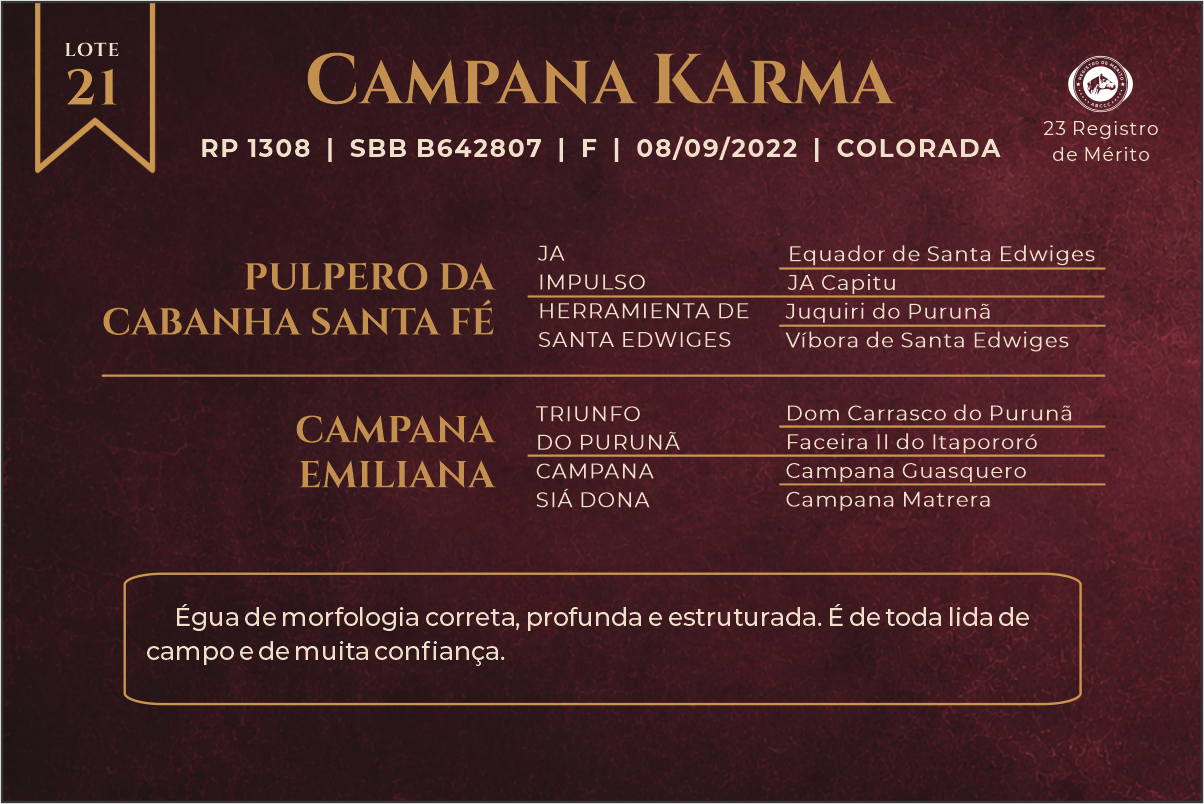 Geração CAMPANA KARMA
