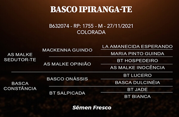 Geração BASCO IPIRANGA-TE