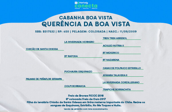 Geração QUERÊNCIA DA BOA VISTA - (EMBRIÃO)
