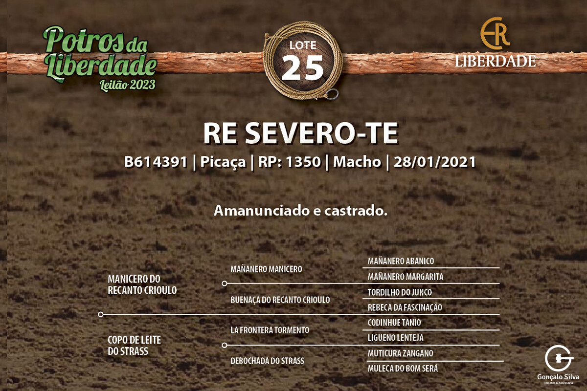 Geração RE SEVERO-TE