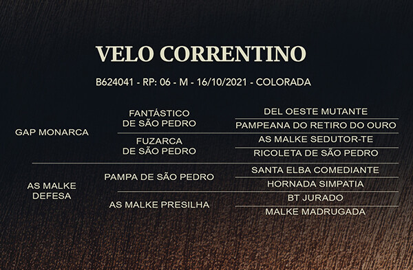 Geração VELO CORRENTINO