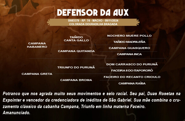 Geração DEFENSOR DA AUX