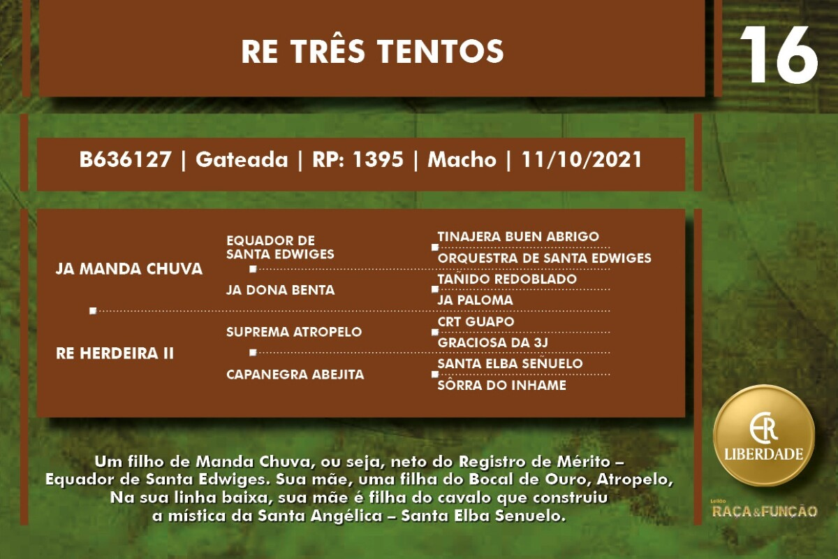 Geração RE TRÊS TENTOS