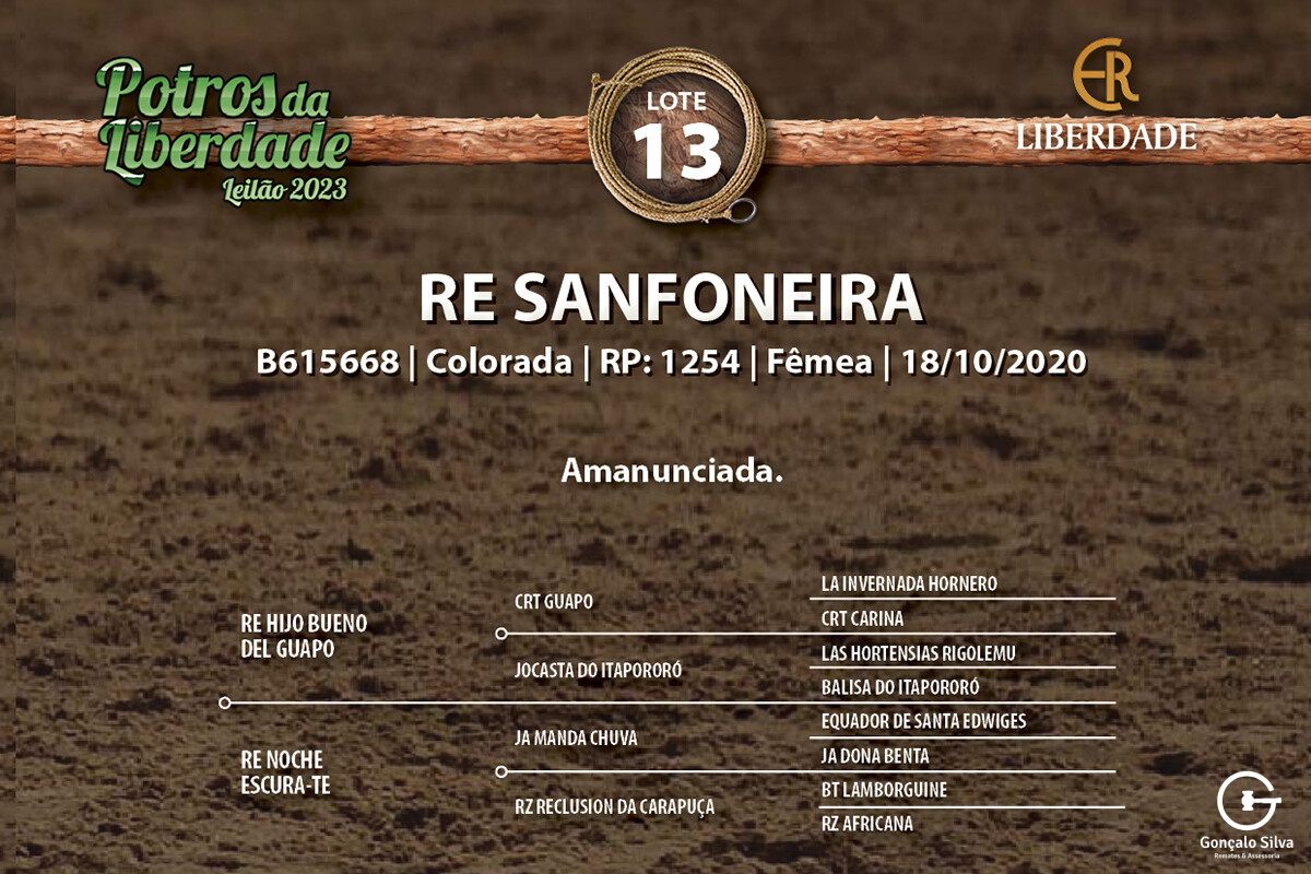Geração RE SANFONEIRA