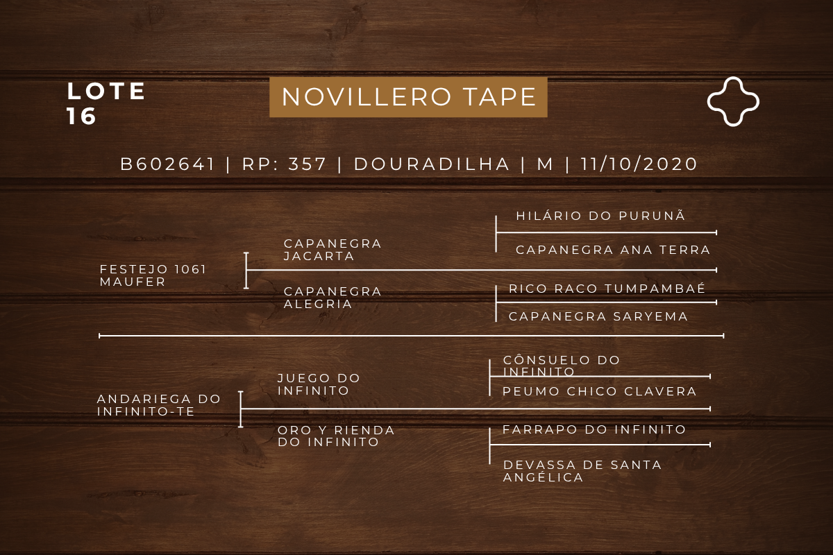 Geração NOVILLERO TAPE