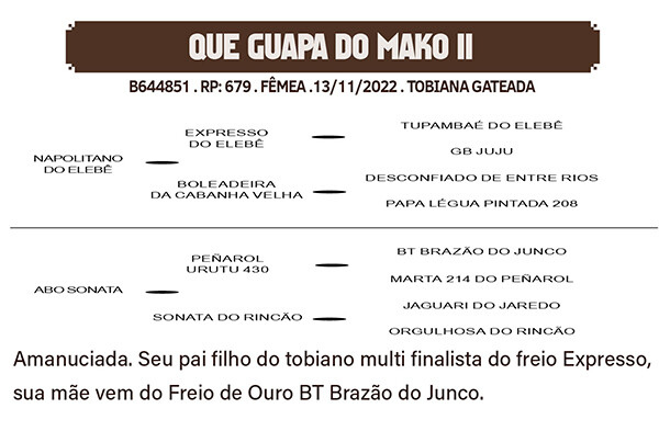 Geração QUE GUAPA DO MAKO II