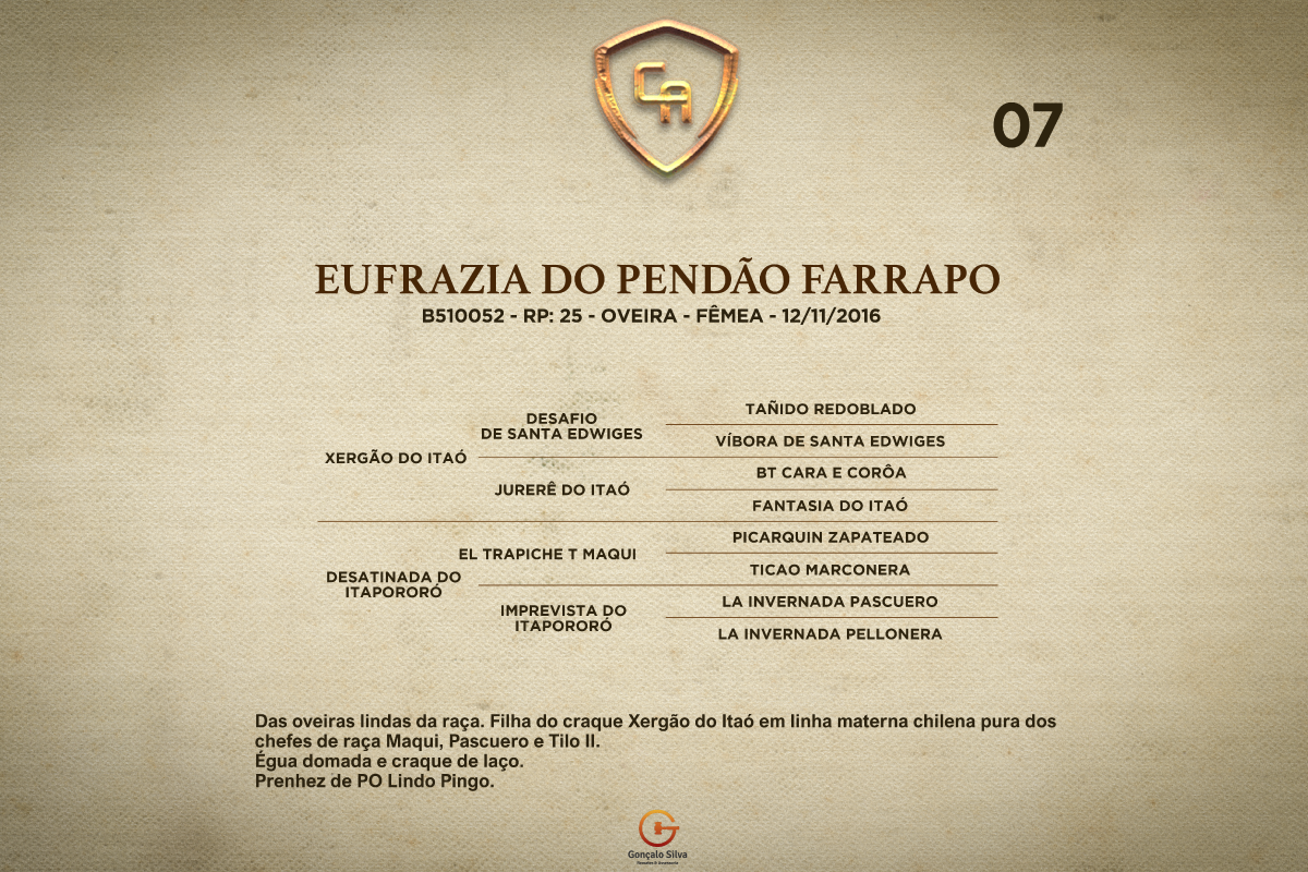 Geração EUFRAZIA DO PENDÃO FARRAPO