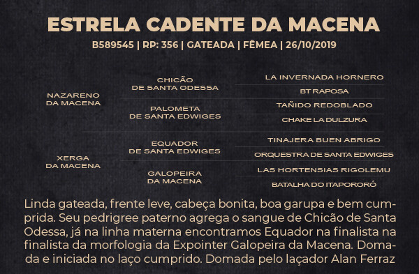 Geração ESTRELA CADENTE DA MACENA