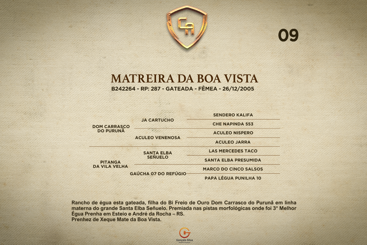 Geração MATREIRA DA BOA VISTA