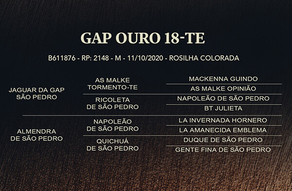 Geração GAP OURO 18-TE ou RZ MAGANO II DA CARAPUÇA