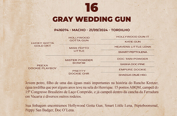 Geração GRAY WEDDING GUN