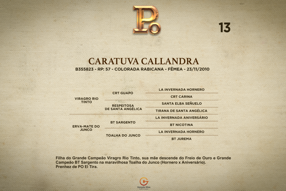Geração CARATUVA CALLANDRA