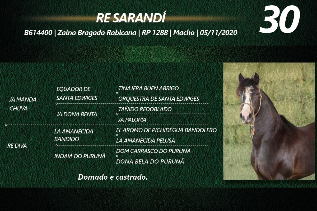 Geração RE SARANDI