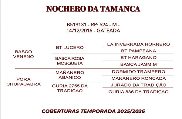 Geração NOCHERO DA TAMANCA 